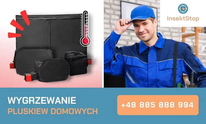 Dezynsekcja-w-Warszawie-InsektStop-kontakt