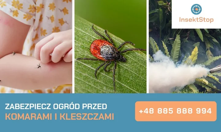 Odkomarzanie-odkleszczanie-InsektStop-kontakt.jpg