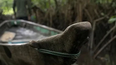 Ekwadorska Amazonia na wyciągnięcie ręki - podróż w głąb lasu.