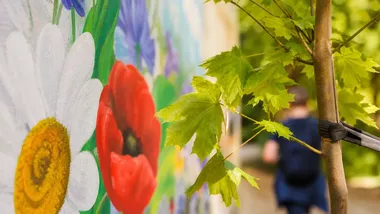 80 lat szkoły w Konstancinie-Jeziornie. Mural, dąb i kapsuła czasu