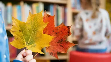 W bibliotece czeka liściasta zagadka - znajdź trzy pary i odbierz nagrodę