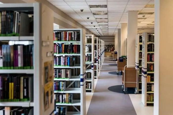 Warsztaty LEGO w Bibliotece w Piasecznie: Miejsce, gdzie dziecięca kreatywność nie zna granic