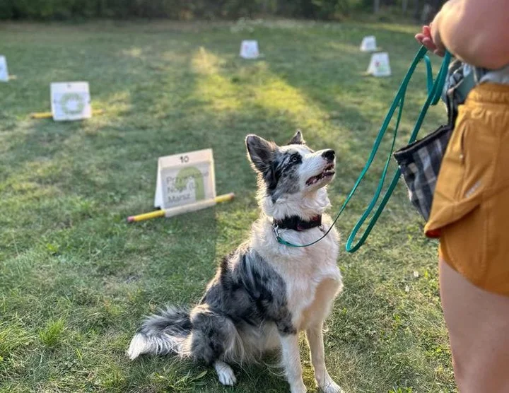 Grafika promocyjna wydarzenia Kurs Rally-o Warszawa i Piaseczno