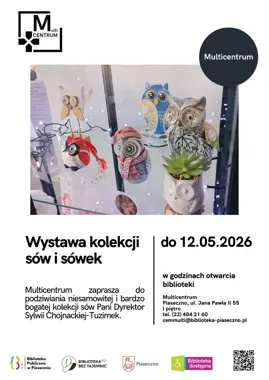 Sowy z charakterem zawładnęły Multicentrum - zobacz niezwykłą kolekcję