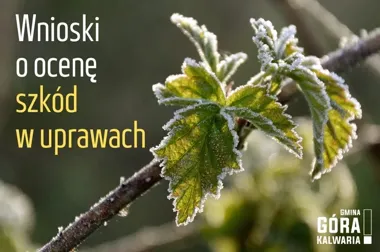 Rolnicy mogą zgłaszać szkody po wiosennych przymrozkach