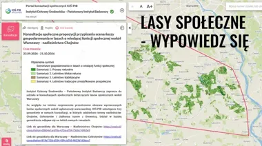 Cztery scenariusze dla lasów Nadleśnictwa Chojnów. Trwają konsultacje
