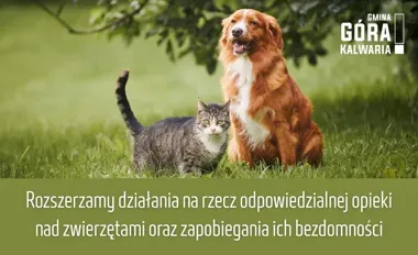 Darmowe szczepienie razem z chipowaniem. Gmina rozszerza pomoc dla właścicieli zwierząt