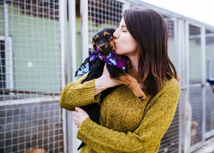 Gmina zawarła nową umowę na opiekę nad bezdomnymi zwierzętami – Prima-Vet przyjmie odłowione czworonogi