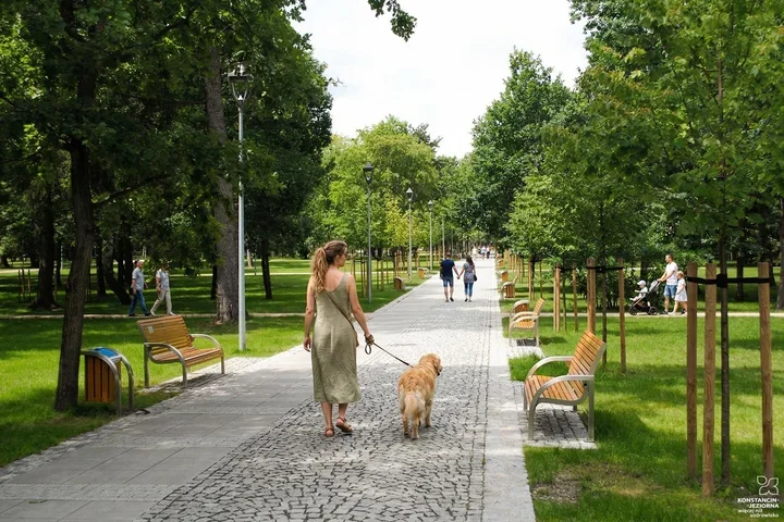 Wiosenne odsłonięcie problemu – co grozi za niesprzątanie psich nieczystości