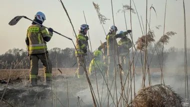 Strażacy na frontach łąk – pierwsze pożary traw w Konstancinie