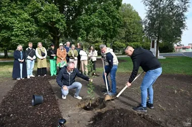 Dąb na 20-lecie partnerstwa. Konstancin-Jeziorna i Hranice planują kolejne spotkania