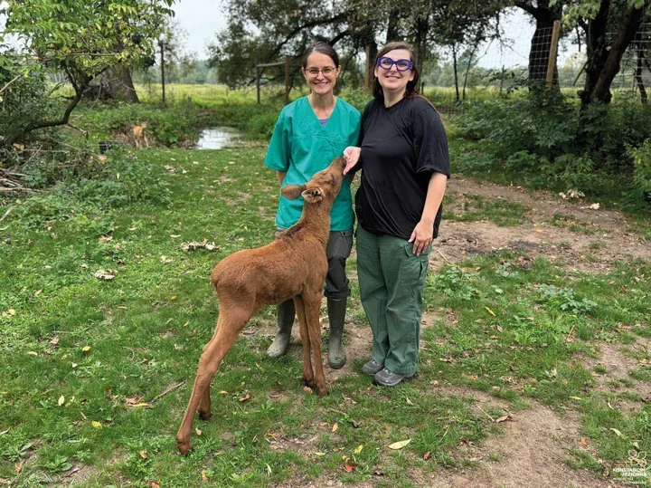 1,5 procent podatku może wrócić do Konstancina i wesprzeć lokalne organizacje