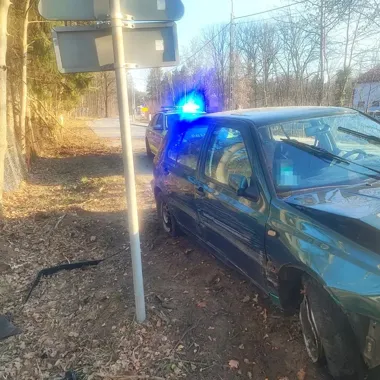 Sarny miały być winne - 18-latek z Piaseczna wypadł z drogi i tłumaczył się dziką zwierzyną