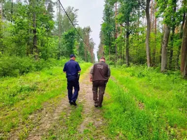 W lasach pod Piasecznem ruszyły patrole - upał podnosi ryzyko pożaru