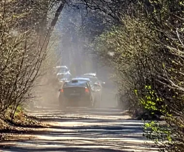 Gościniec Warecki na kilka tygodni odda drogę płazom