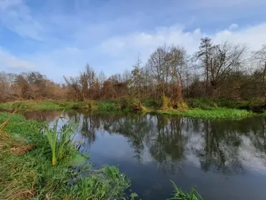 Śnięte ryby w Jeziorce. Gmina Piaseczno apeluje o ostrożność