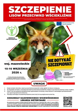 Szczepionka dla lisów spadnie z samolotów. Ważne zasady dla mieszkańców